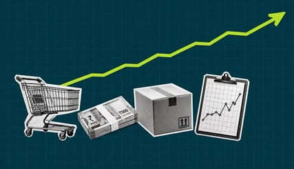 The Growth Rate Mistakes Killing D2C Brands in India [Growth Audit Checklist Included]